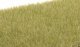 Static Grass - Field System - 1/8′ 4mm Fibers -- Light Green, All Scales, Woodland Scenics 619