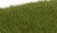 Static Grass - Field System -- Dark Green 1/4′ 7mm Fibers, All Scales, Woodland Scenics 621