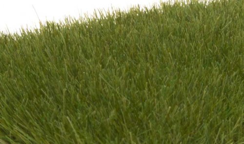 Static Grass - Field System -- Dark Green 1/4′ 7mm Fibers, All Scales, Woodland Scenics 621