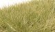 Static Grass - Field System -- Light Green 1/2′ 12mm Fibers, All Scales, Woodland Scenics 627
