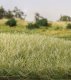 Static Grass 9/32′ 7mm Tall - All Game Terrain -- Light Green, All Scales, Woodland Scenics 6583