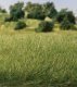 Static Grass 9/32′ 7mm Tall - All Game Terrain -- Medium Green, All Scales, Woodland Scenics 6584