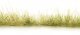 Peel `n` Plant Tufts - All Game Terrain -- Light Green Edging, All Scales, Woodland Scenics 6644