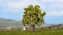 Apple Tree with Fruits, All Scales, NOCH 21560