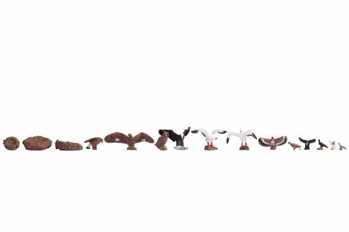Birds, HO, NOCH 15775