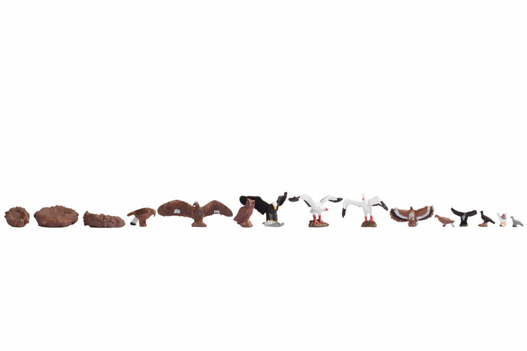 Birds, HO, NOCH 15775
