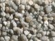 Boulders, All Scales, NOCH 09214