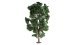 Chestnut Tree, All Scales, NOCH 21800