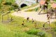 Children on the Football Ground, HO, NOCH 15817