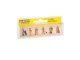 City Cleaning, TT, NOCH 45029