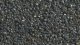 Coal, All Scales, NOCH 09202