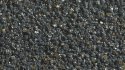 Coal, All Scales, NOCH 09202