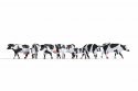 Cows, black-white, HO, NOCH 15725