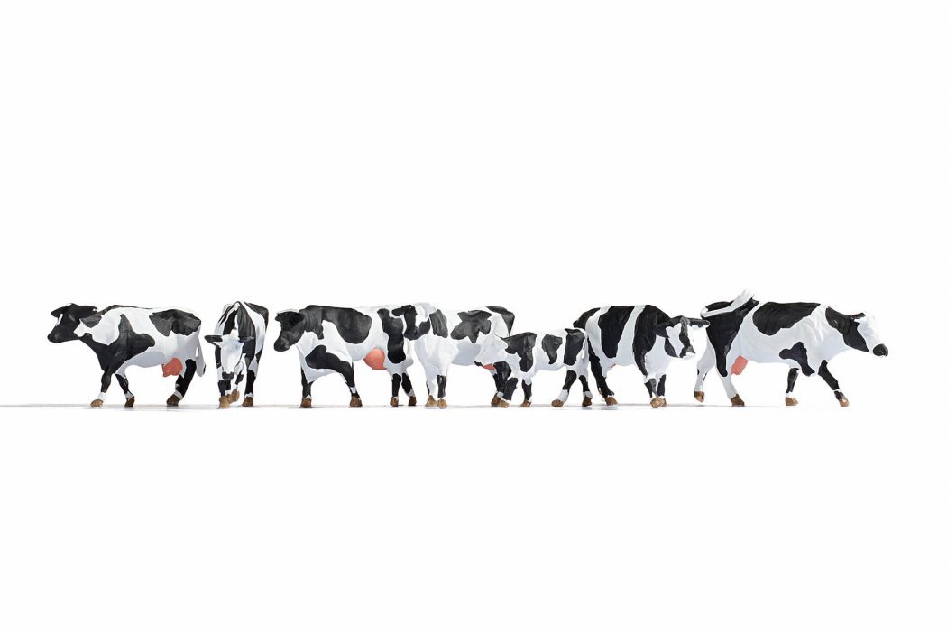 Cows, black-white, HO, NOCH 15725