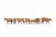 Cows, brown, HO, NOCH 15727