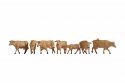 Cows, brown, HO, NOCH 15727