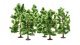Deciduous Trees, All Scales, NOCH 24602