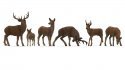 Deer, Z, NOCH 44541