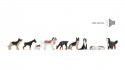 Dogs, HO, NOCH 12852