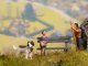 Dogs, HO, NOCH 12852