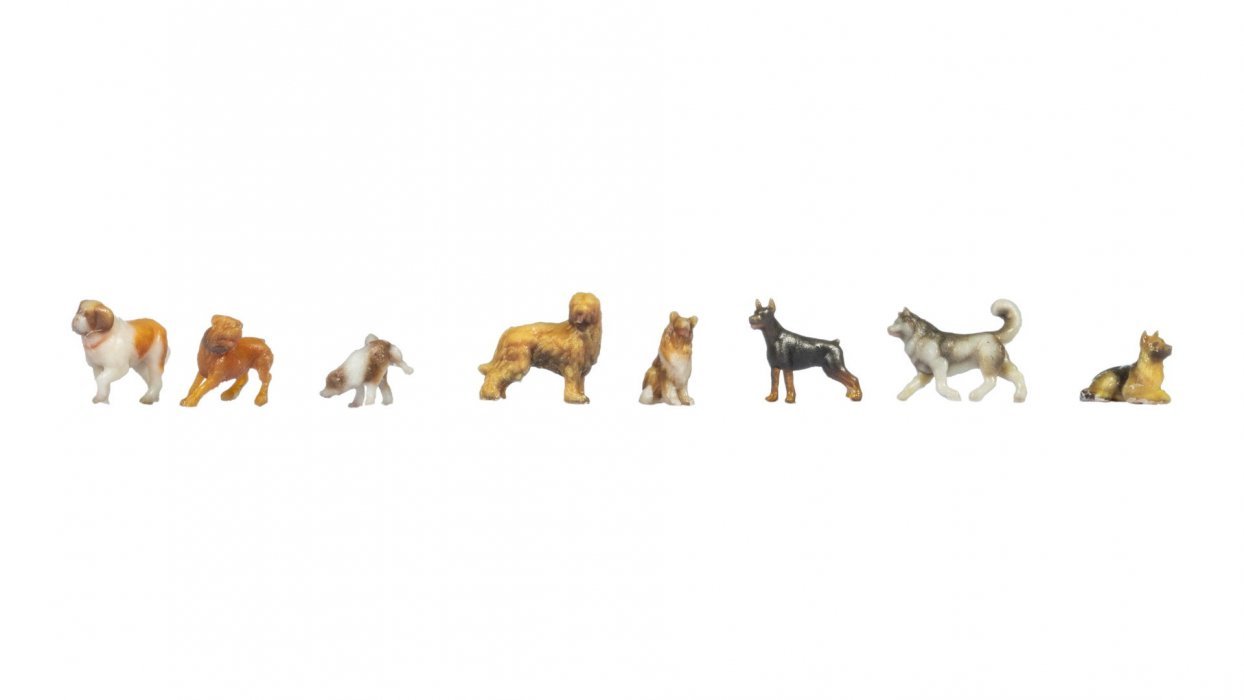 New Dogs, N, NOCH 35760