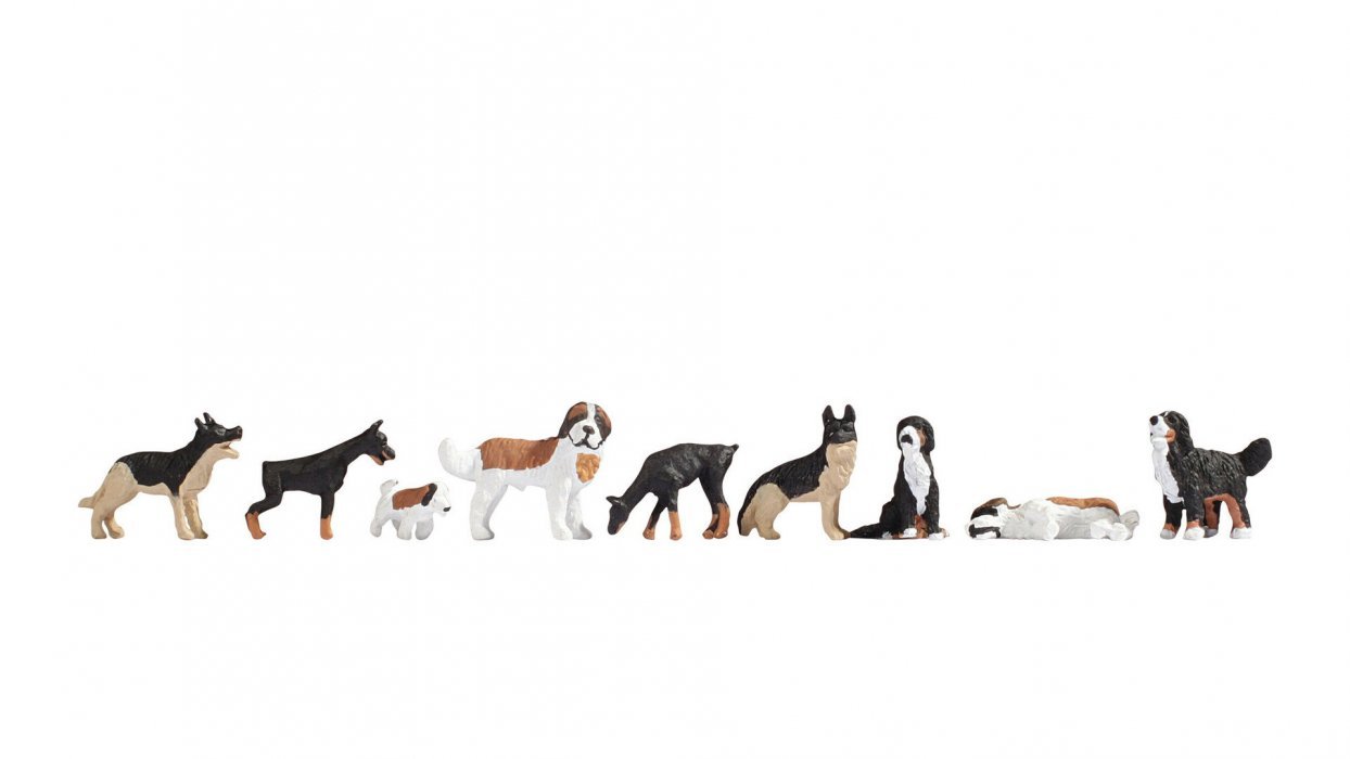 Dogs, N, NOCH 36717