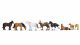 Draught Horses, N, NOCH 36762