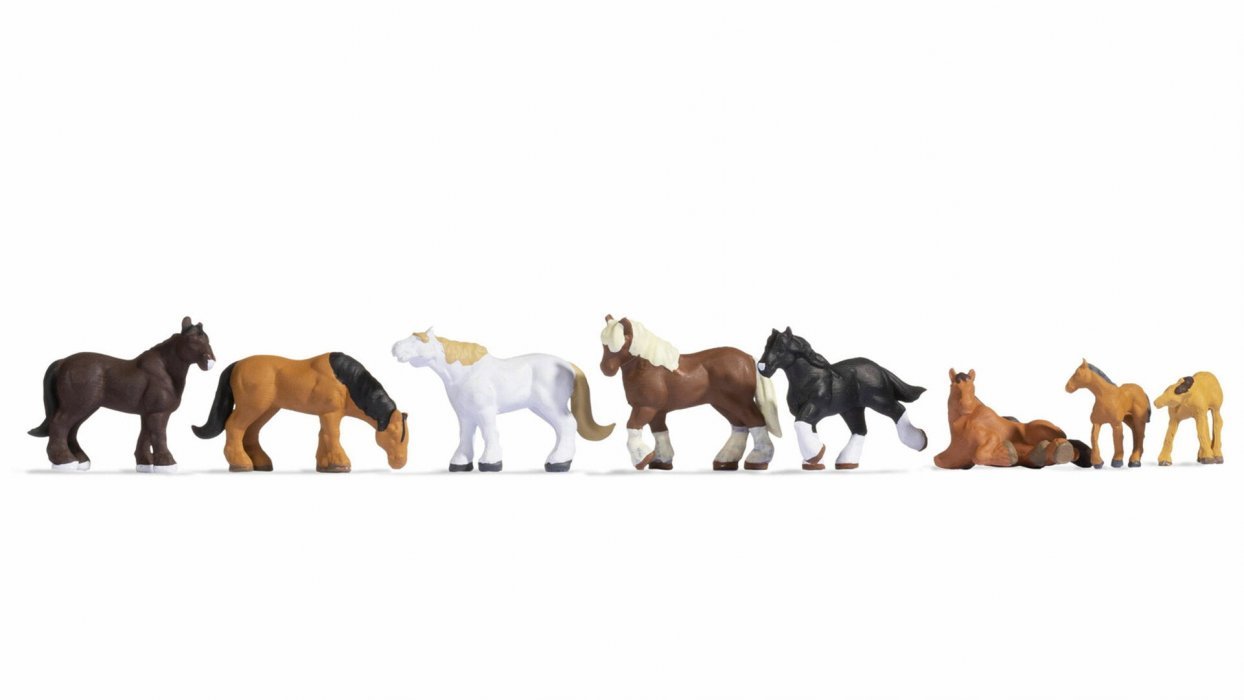 Draught Horses, N, NOCH 36762