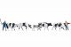 Drover and Cows, HO, NOCH 15724