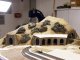 easy TRACK Railway Route Kit “Karlsberg”, HO, NOCH 53600