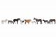 Farm Animals, HO, NOCH 15713
