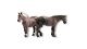 Farm Animals, HO, NOCH 15713
