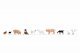 Farm Animals, N, NOCH 36711