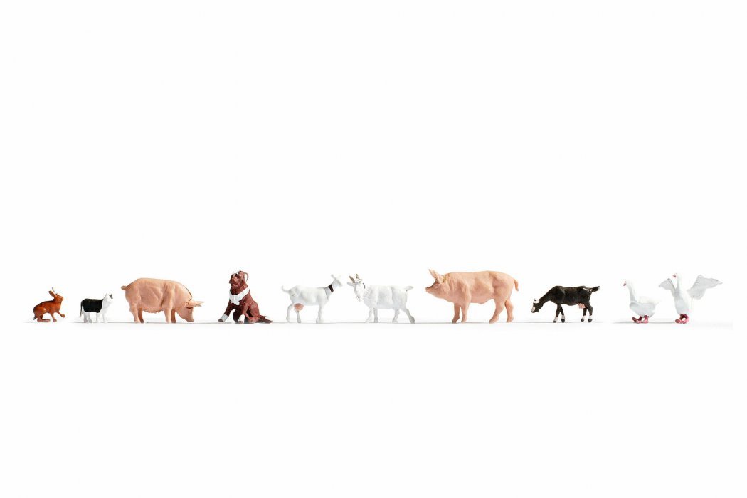 Farm Animals, N, NOCH 36711