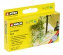 Fern, HO, NOCH 14100