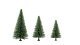Fir Trees, All Scales, NOCH 24640