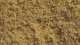 Flock, All Scales, NOCH 07225
