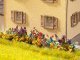 Flower Garden, HO, NOCH 14050