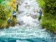 Foam & Spume, All Scales, NOCH 60862