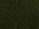 Foliage, All Scales, NOCH 07272
