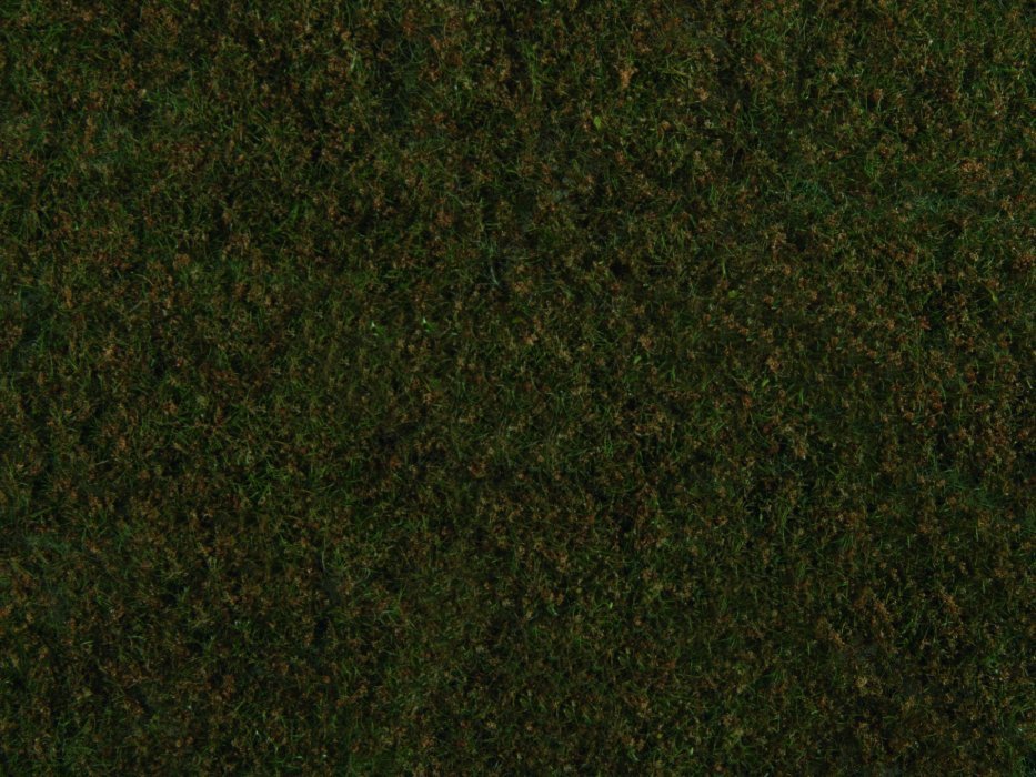 Foliage, All Scales, NOCH 07272