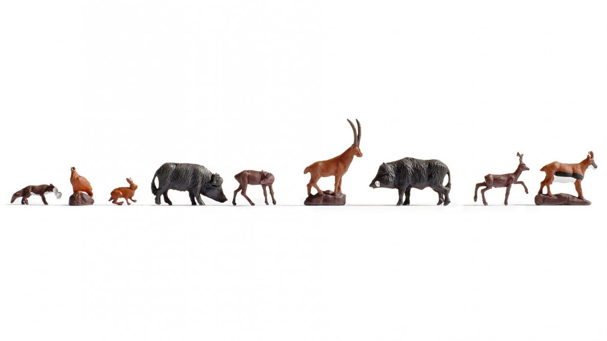Forest Animals, N, NOCH 36745