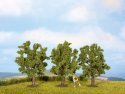 Fruit Trees, All Scales, NOCH 25510