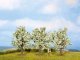 Fruit Trees, All Scales, NOCH 25511