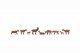 Goats, HO, NOCH 15752