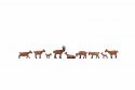 Goats, HO, NOCH 15752