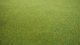 Grass Mat “Spring Meadow”, All Scales, NOCH 00290