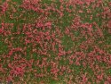 Groundcover Foliage, Meadow red, All Scales, NOCH 07257