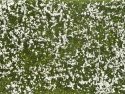 Groundcover Foliage, Meadow white, All Scales, NOCH 07256