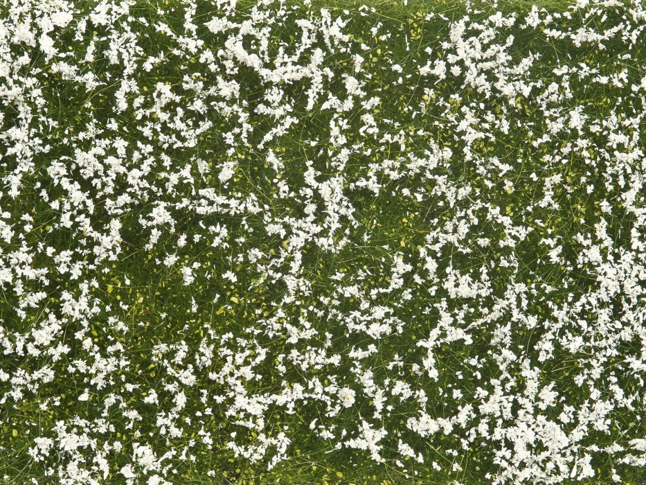 Groundcover Foliage, Meadow white, All Scales, NOCH 07256
